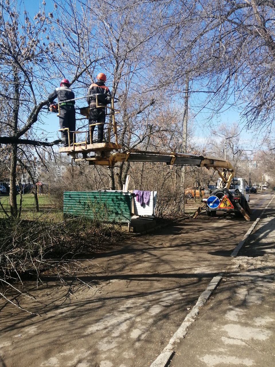 Сотрудники «Комбината благоустройства» в ежедневном режиме выполняют работы по наведению порядка в городе Балаково