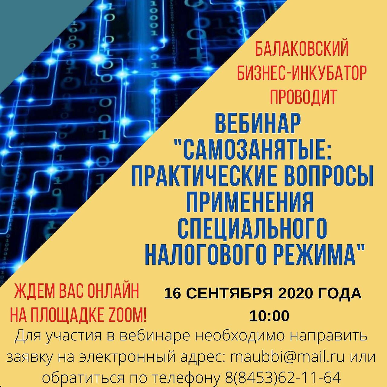 Балаковский бизнес-инкубатор приглашает на бесплатный вебинар : "Самозанятые: практические вопросы применения специального налогового режима"