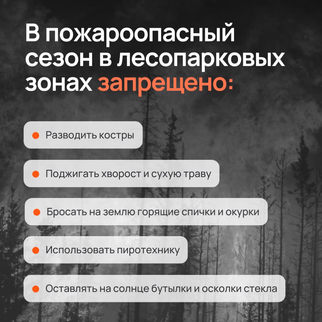 Берегите лес от пожара!