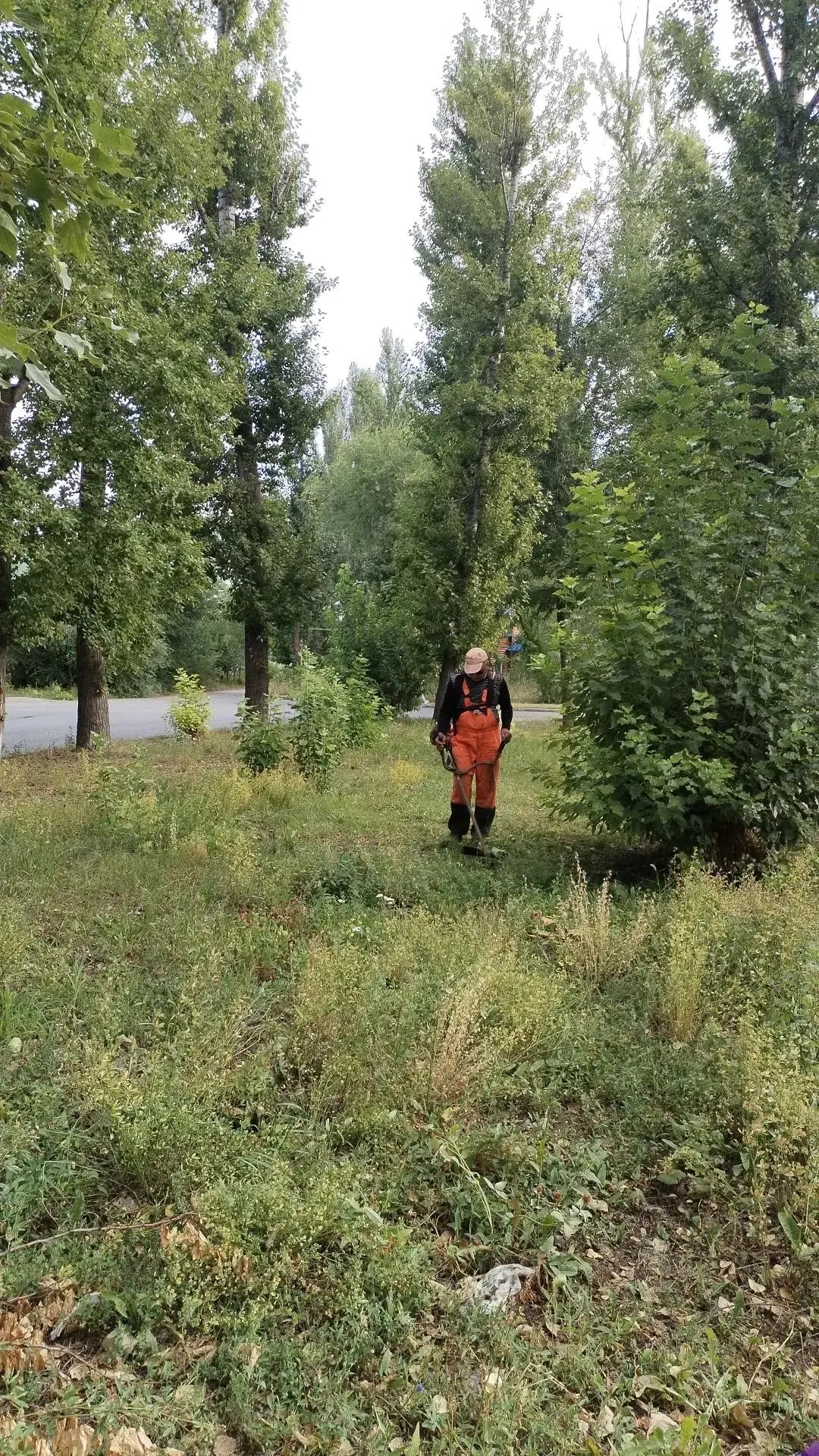 В Балаково продолжаются плановые работы по благоустройству и наведению порядка