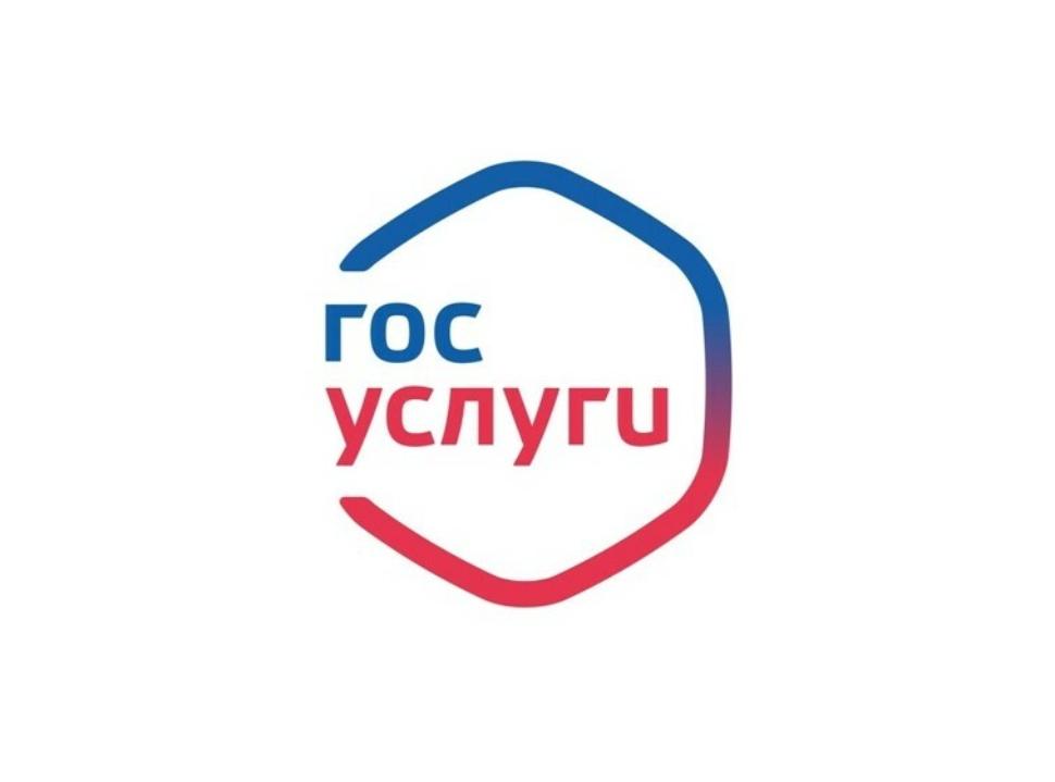Около 1,5 млн россиян использовали сервисы "Жизненная ситуация" на "Госуслугах"