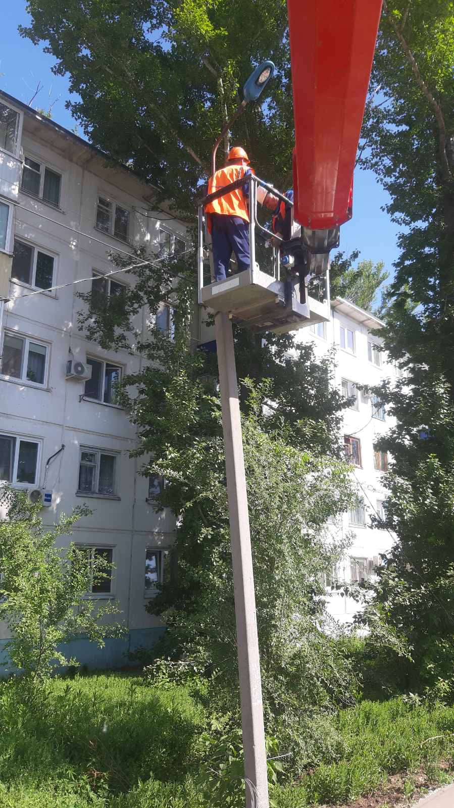 Благоустройство города Балаково сегодня: покос травы, стрижка живой изгороди, спил и обрезка деревьев, очистка ливневых колодцев, уборка общественных территорий