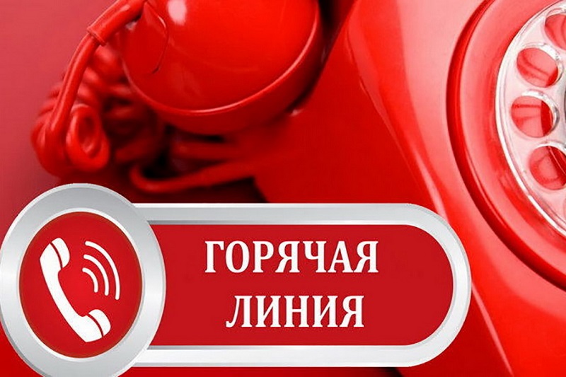 «Горячая линия» по вопросам детей-сирот пройдёт сегодня