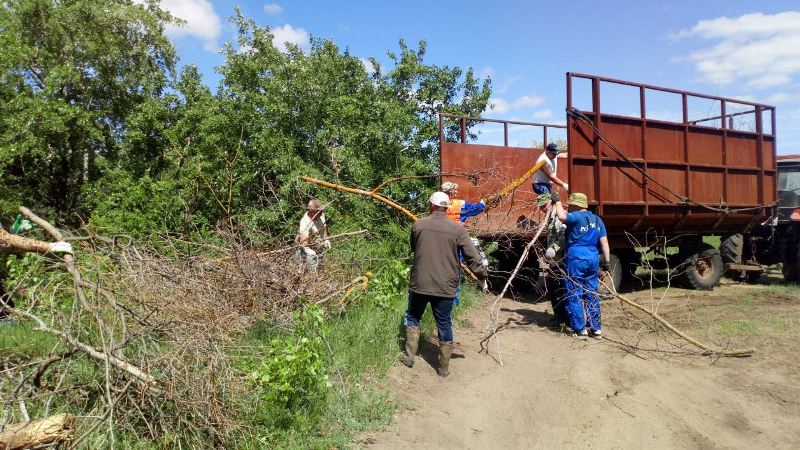 В рамках месячника по благоустройству на территории села Плеханы состоялся субботник