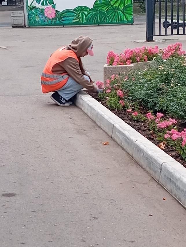 Полив дорог, покос травы, сбор мусора. Коммунальные службы города работают в ежедневном режиме