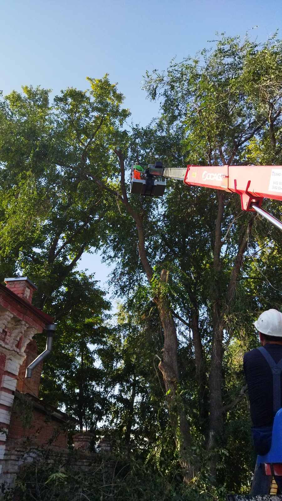 Ежедневно сотрудники Комбината благоустройства приводят город в порядок