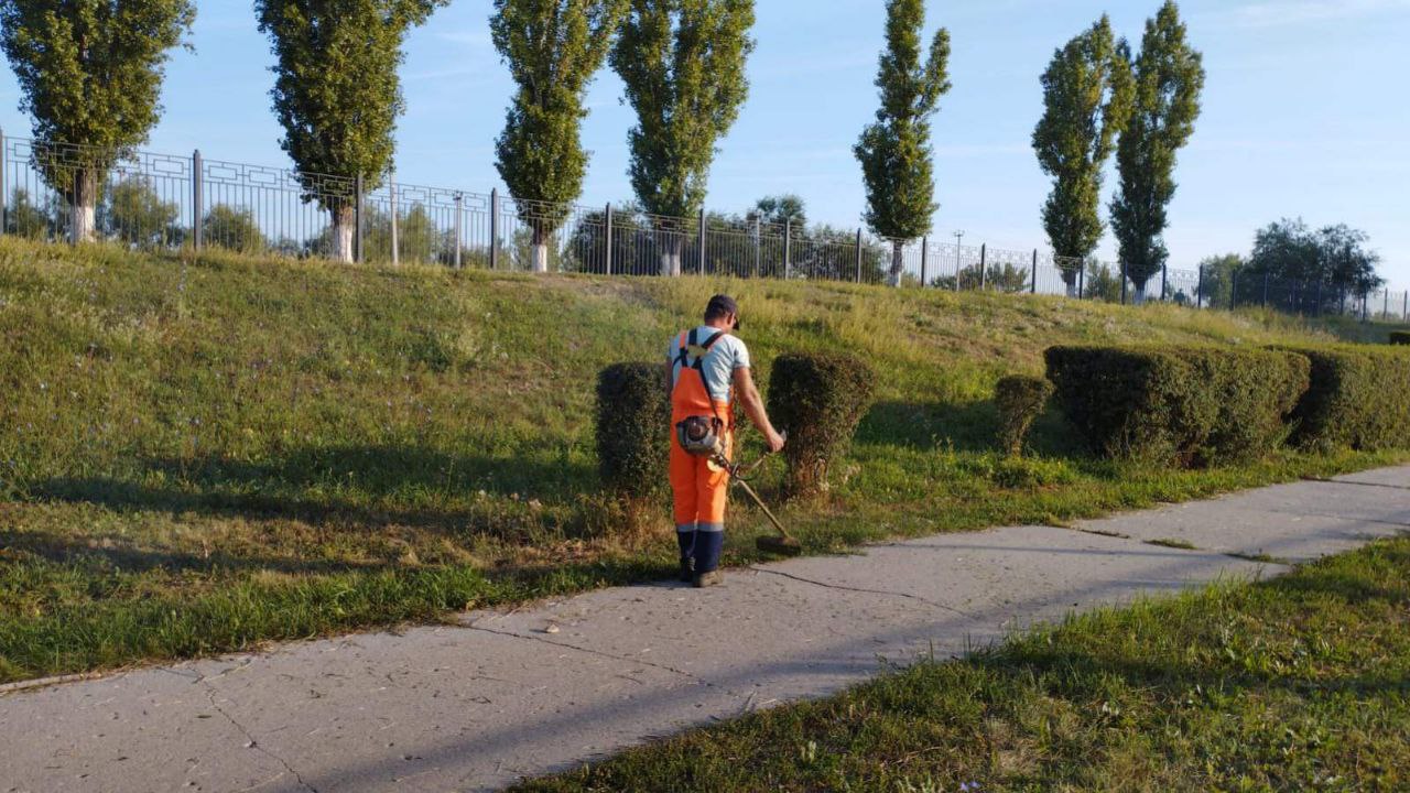 Полив зеленых насаждений, покос травы, уборка общественных территорий: благоустройство города ведётся в ежедневном режиме