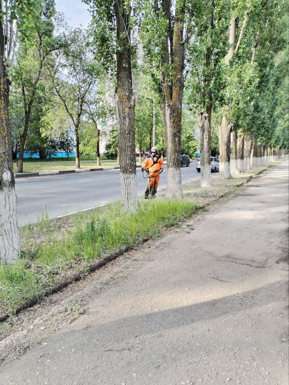 Сотрудники Комбината благоустройства ежедневно наводят порядок в городе Балаково